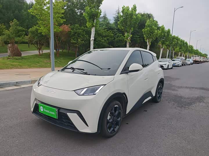 BYD Seagull, 2024 — купить в Санкт-Петербурге под ключ