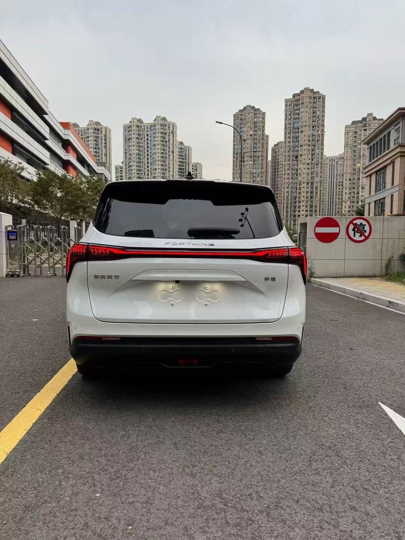 Dongfeng Forthing Yacht, 2023 — фото 6 из 12