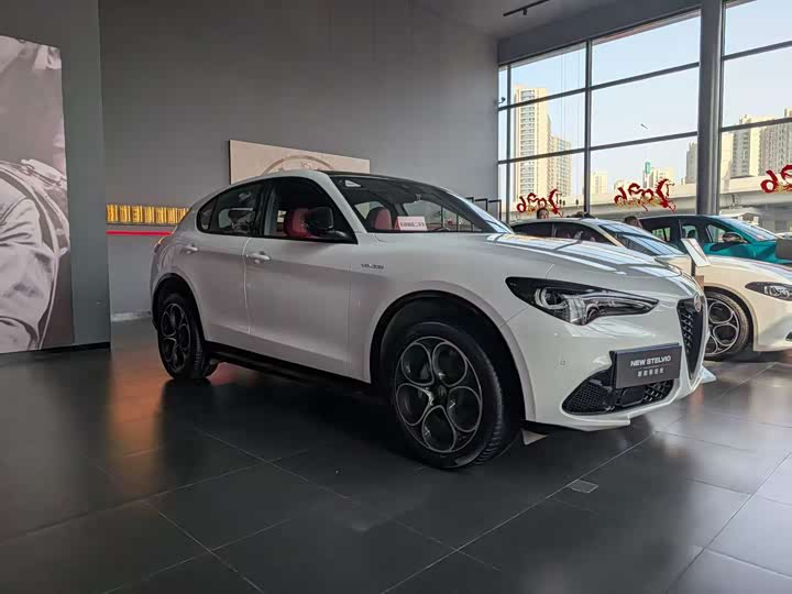 Alfa Romeo Stelvio, 2024 — фото 2 из 9