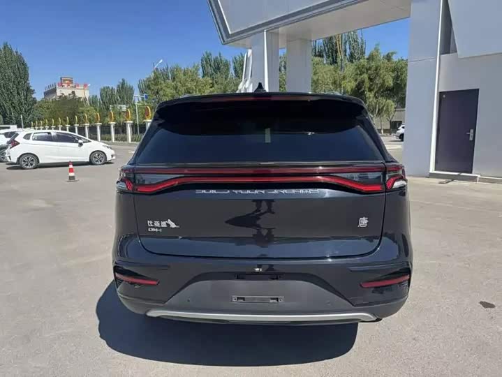 BYD Tang Hybrid/EV, 2023 — фото 8 из 9