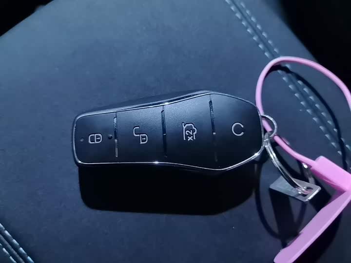 BYD Seal 06 Hybrid/EV, 2024 — фото 9 из 9