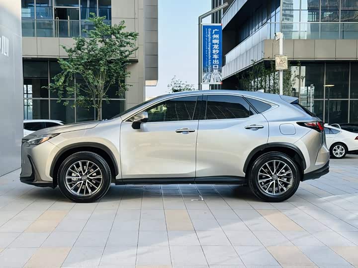 Lexus NX, 2024 — фото 4 из 9
