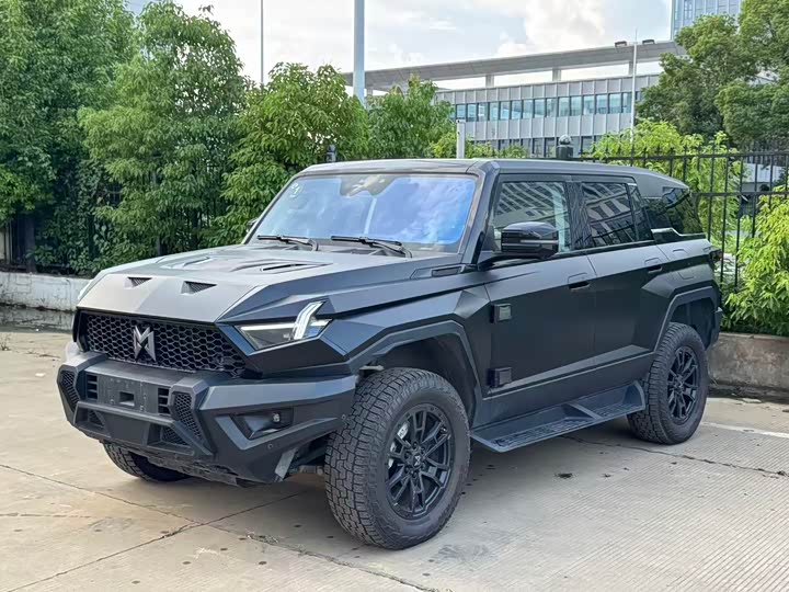 Dongfeng Mengshi M-Hero 917, 2025 — купить в Уфе под ключ