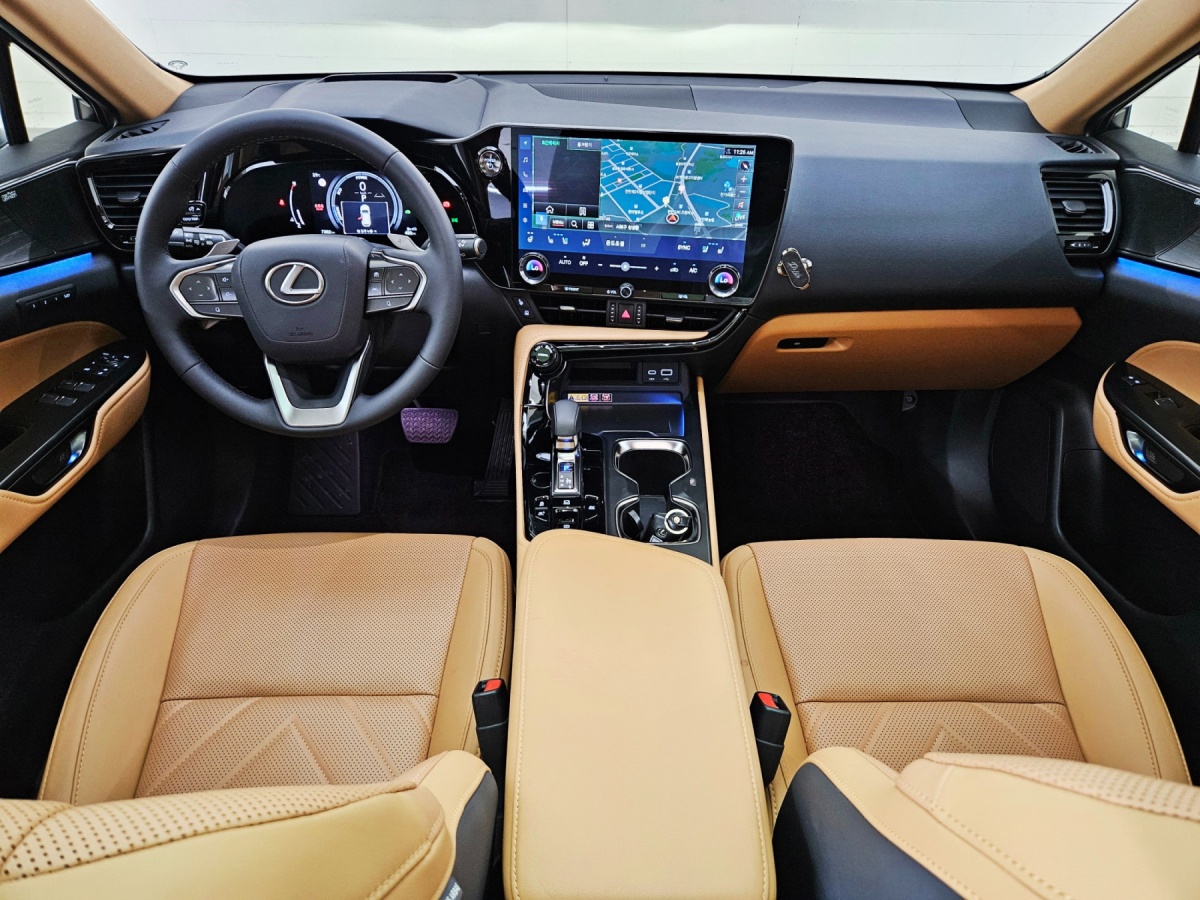 Lexus NX, 2025 — фото 6 из 12