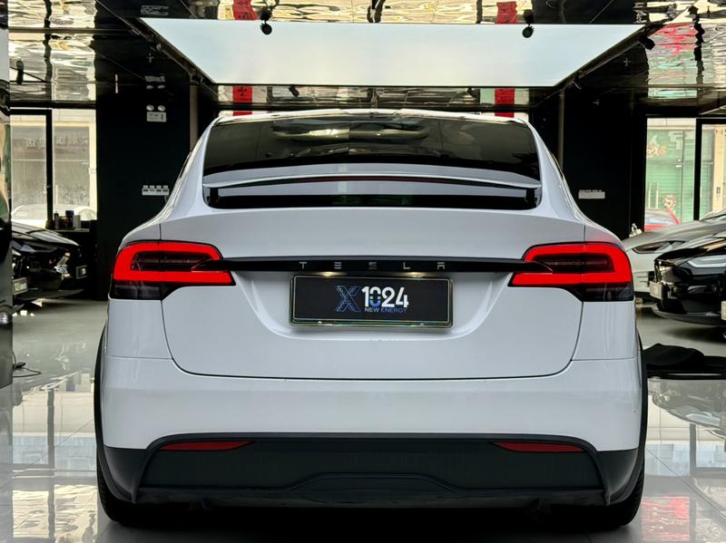 Tesla Model X, 2023 — фото 5 из 12