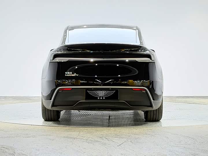 Tesla Model Y, 2025 — фото 3 из 9