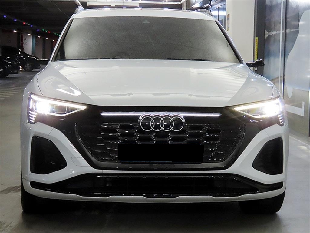 Audi Q8 e-tron, 2024 — фото 2 из 12