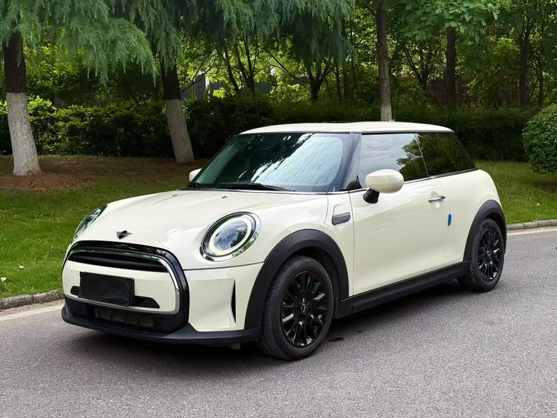 Mini Mini, 2022 — купить в Йошкар-Оле под ключ