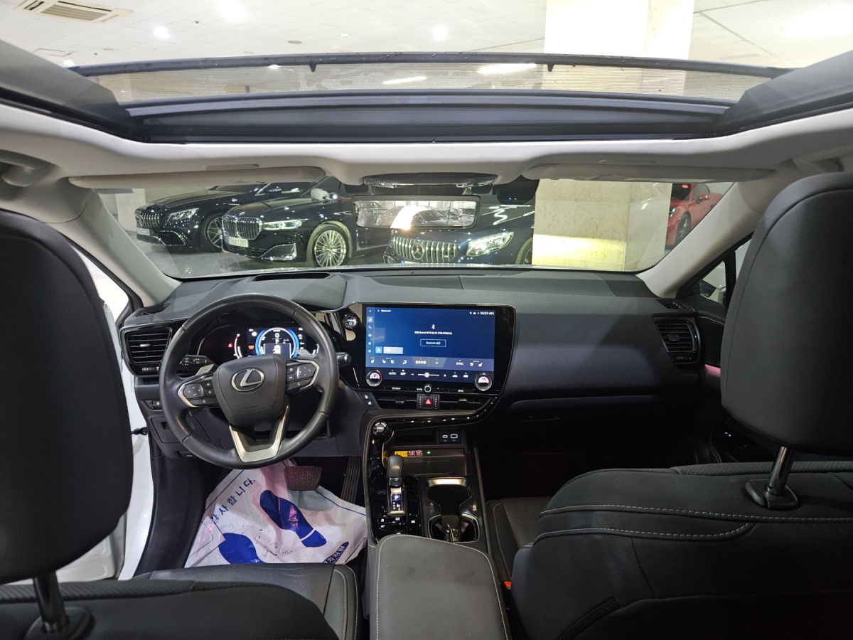 Lexus NX, 2023 — фото 6 из 12