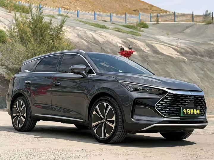 BYD Tang Hybrid/EV, 2022 — фото 3 из 9