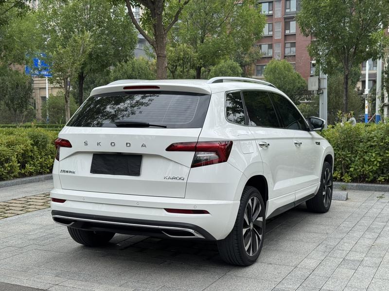 Skoda Karoq, 2021 — фото 6 из 12