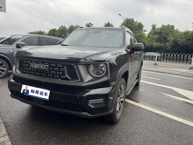 Haval H-Dog, 2024 — купить в Рязани под ключ