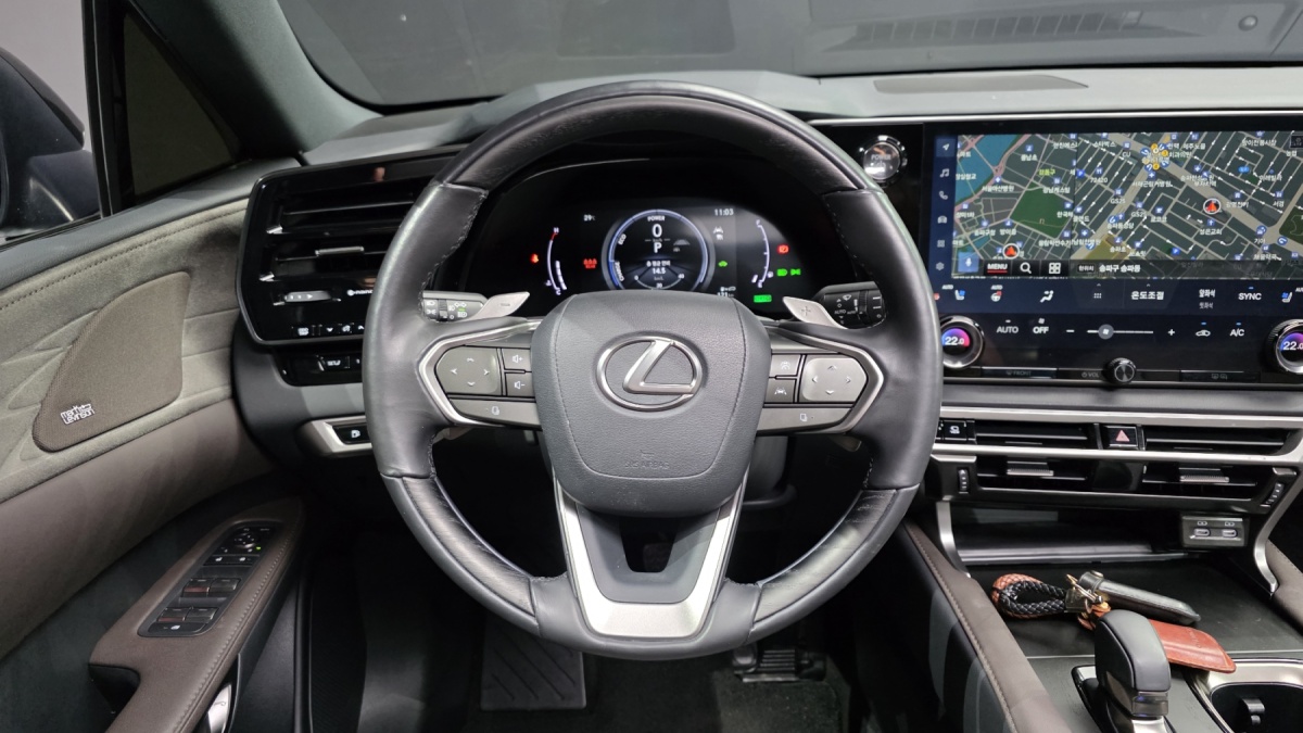 Lexus RX, 2024 — фото 12 из 12