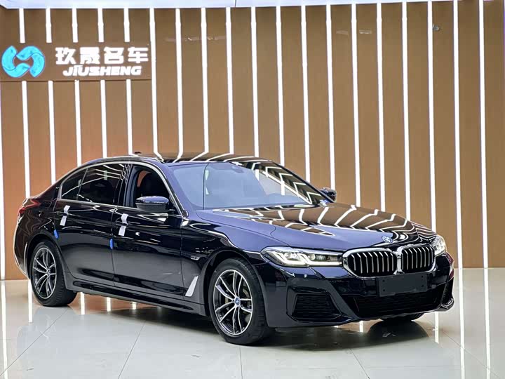 BMW 5 Series Hybrid, 2021 — фото 4 из 9