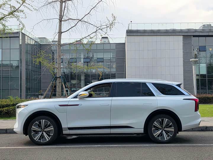 Hongqi E-HS9, 2022 — фото 8 из 9