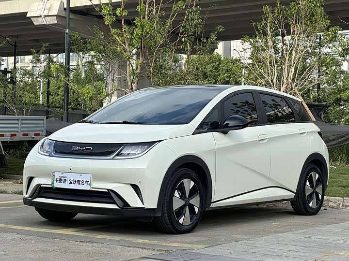 BYD Dolphin, 2023 — купить в Владимире под ключ