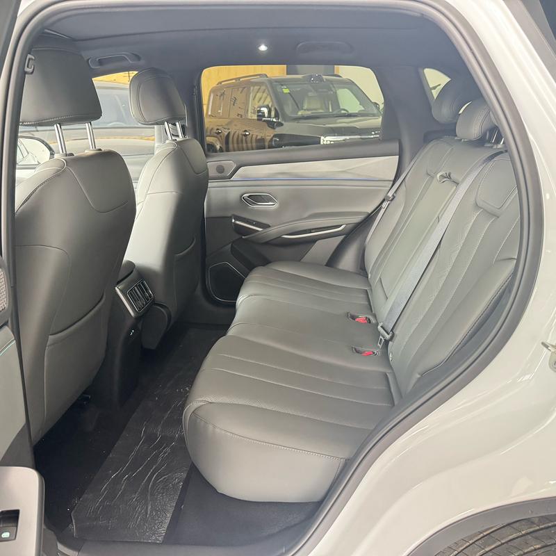BYD Song L DM-i Hybrid, 2026 — фото 10 из 11
