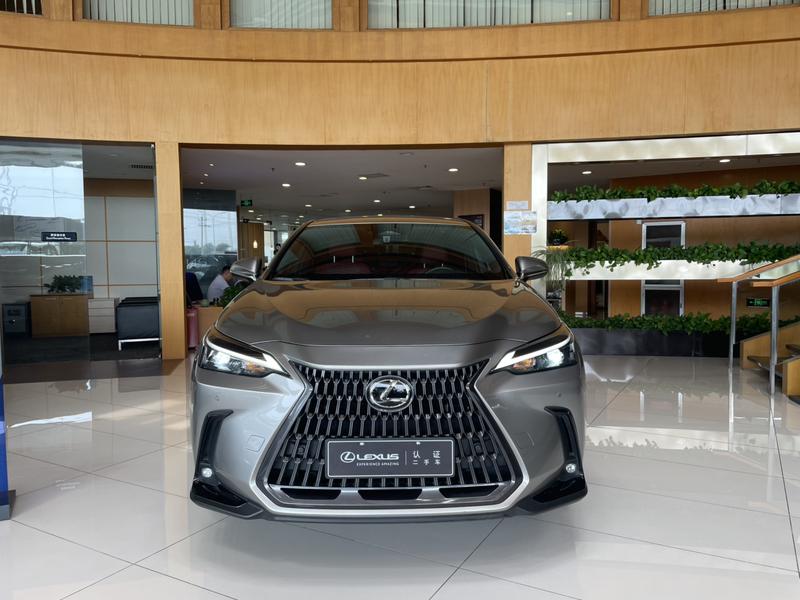 Lexus NX Hybrid, 2023 — фото 2 из 12
