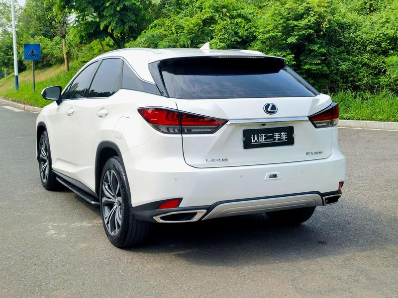 Lexus RX, 2022 — фото 5 из 12