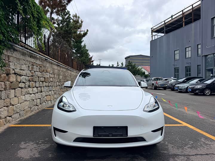 Tesla Model Y, 2024 — фото 2 из 9