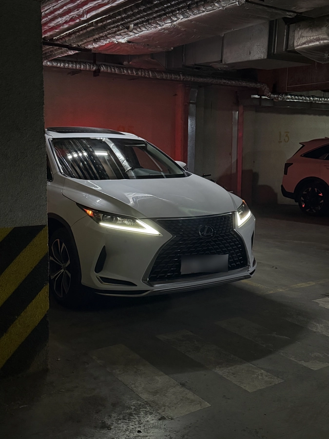 Lexus RX, 2022 — фото 9 из 9