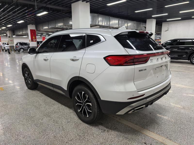 Haval H6, 2021 — фото 4 из 12