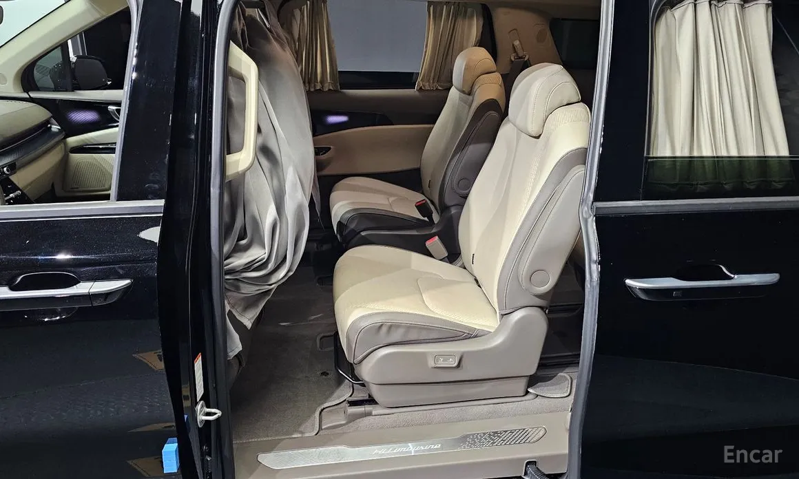 Kia Carnival, 2021 — фото 11 из 12