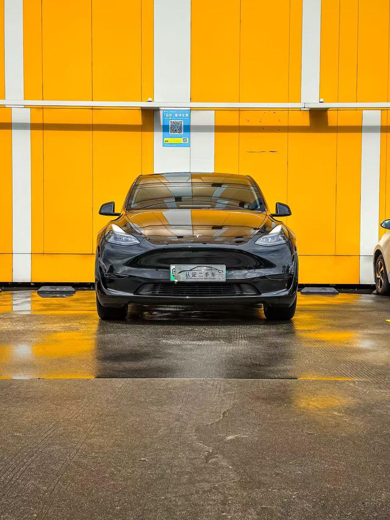 Tesla Model Y, 2023 — фото 2 из 7