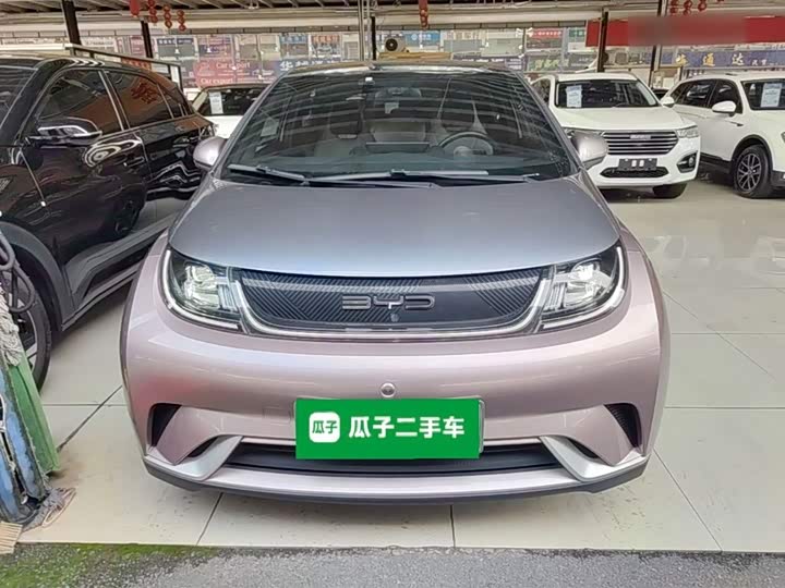 BYD Dolphin, 2022 — фото 3 из 9