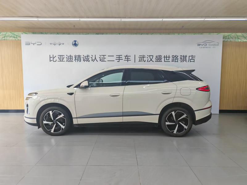 BYD Sea Lion 06 Hybrid/EV, 2025 — фото 3 из 12