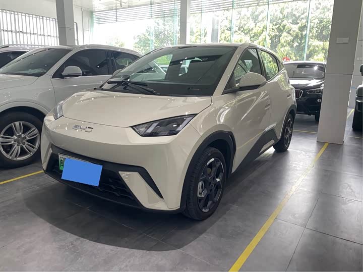 BYD Seagull, 2024 — купить в Москве под ключ