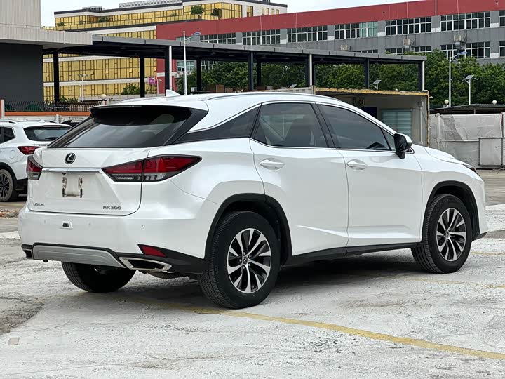 Lexus RX, 2022 — фото 9 из 9