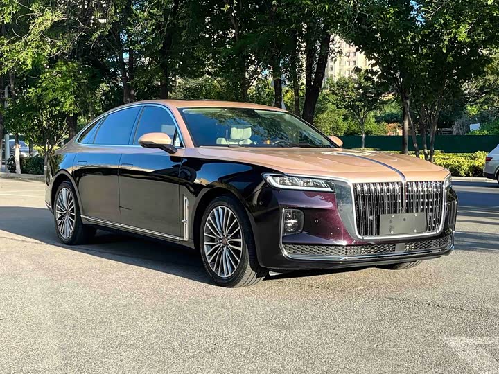 Hongqi H9, 2022 — фото 8 из 9