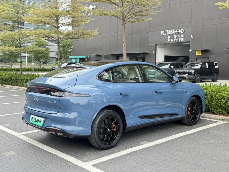 IM motors LS6, 2025 — фото 6 из 12