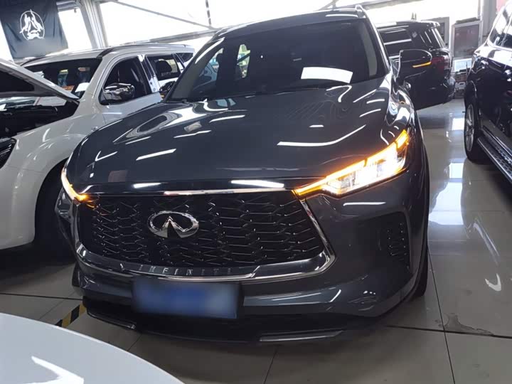 Infiniti QX60, 2024 — фото 3 из 12