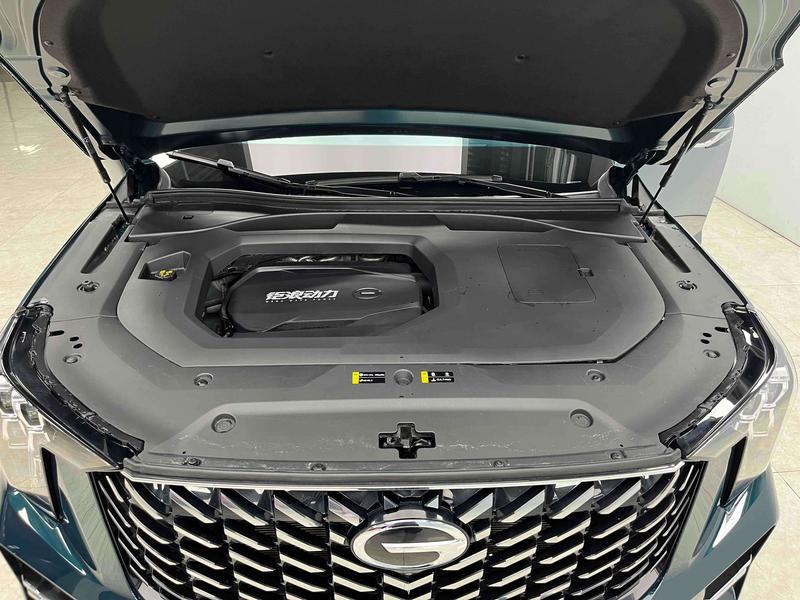 GAC Trumpchi GS8, 2021 — фото 9 из 12