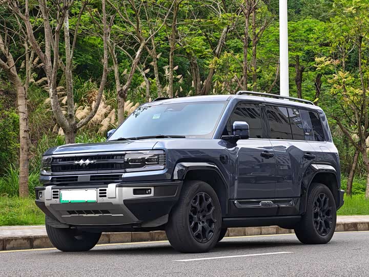 BYD FangChengBao Leopard 5, 2024 — купить в Саратове под ключ