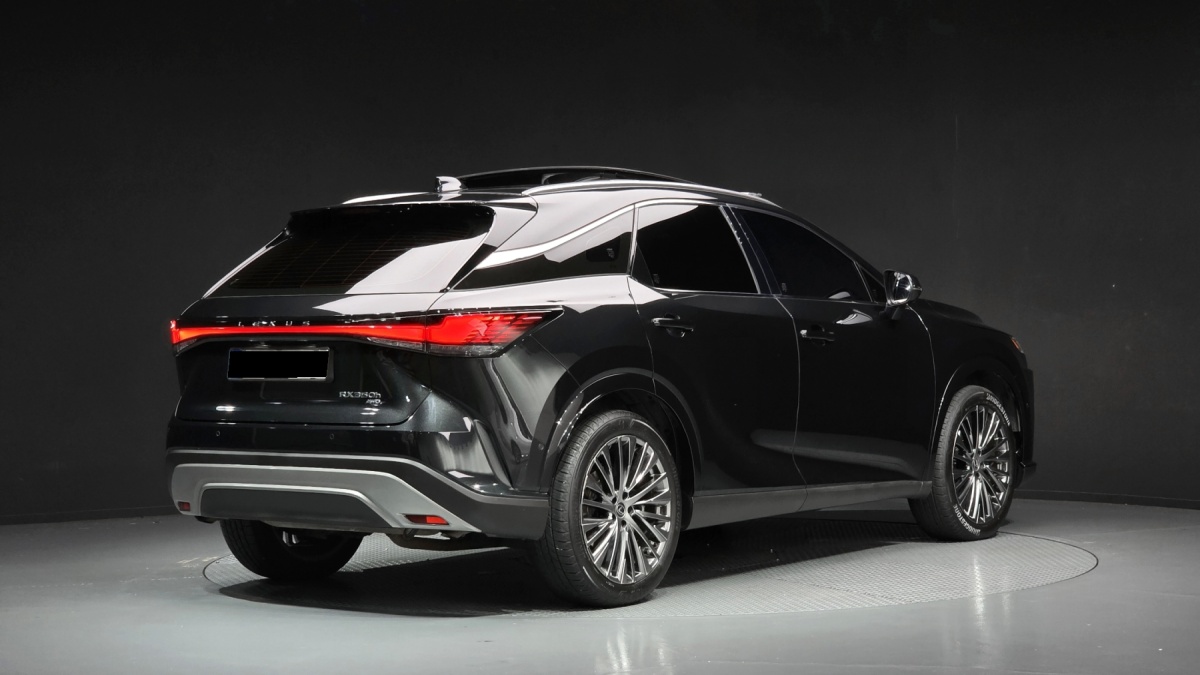 Lexus RX, 2024 — фото 2 из 12
