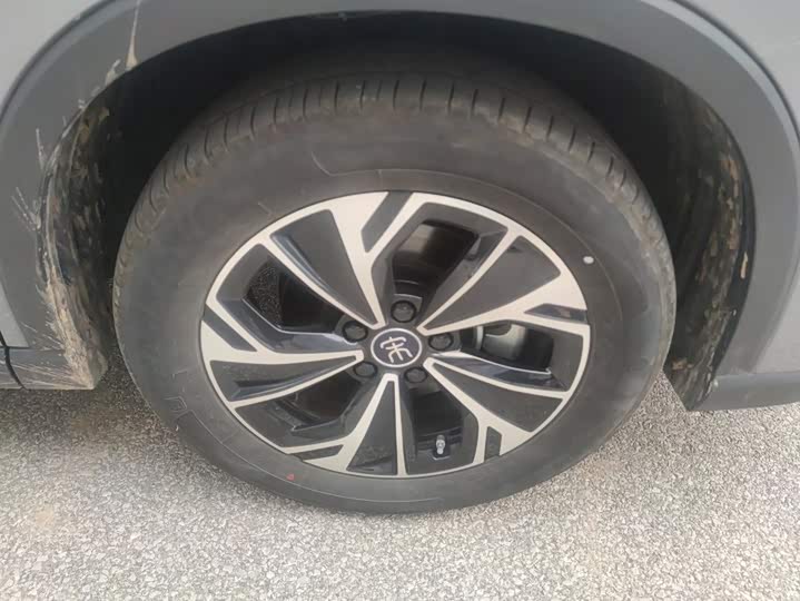 BYD Song Pro Hybrid, 2024 — фото 6 из 9