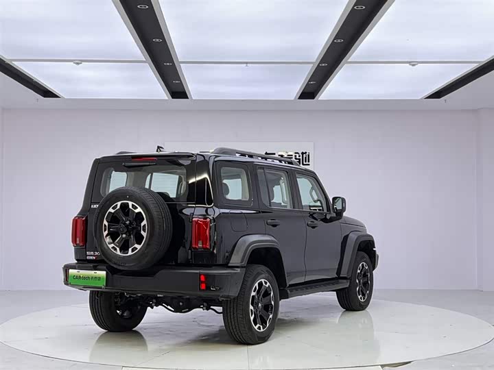 Tank 300 Hybrid, 2024 — фото 5 из 9
