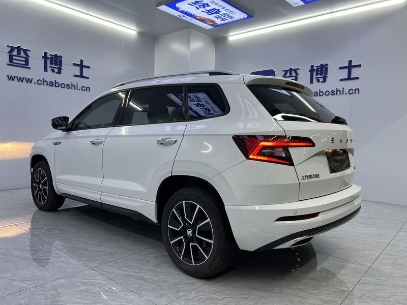 Skoda Karoq, 2024 — фото 4 из 12