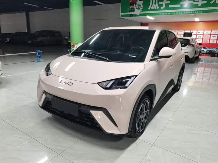 BYD Seagull, 2024 — фото 2 из 9