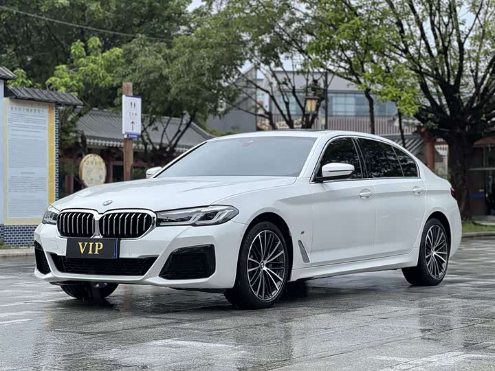 BMW 5 Series, 2022 — купить в Перми под ключ