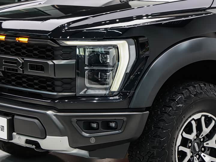 Ford F-150 Raptor, 2023 — фото 8 из 9
