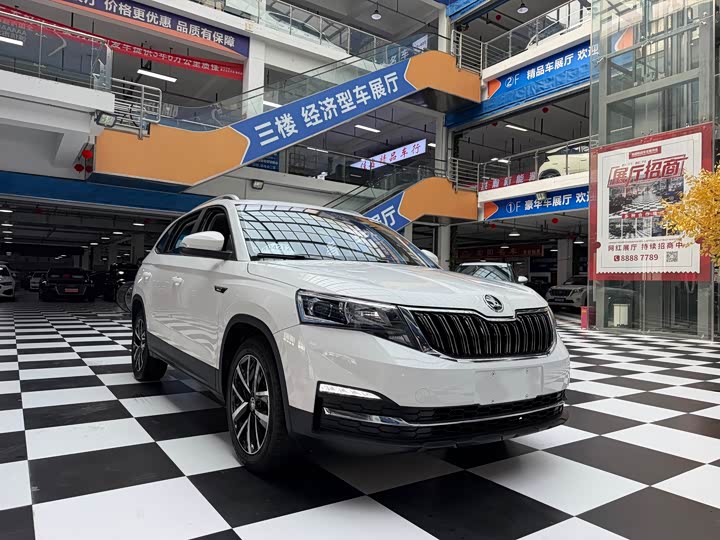 Skoda Kamiq, 2021 — фото 3 из 9