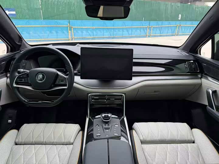 BYD Tang Hybrid/EV, 2022 — фото 9 из 9