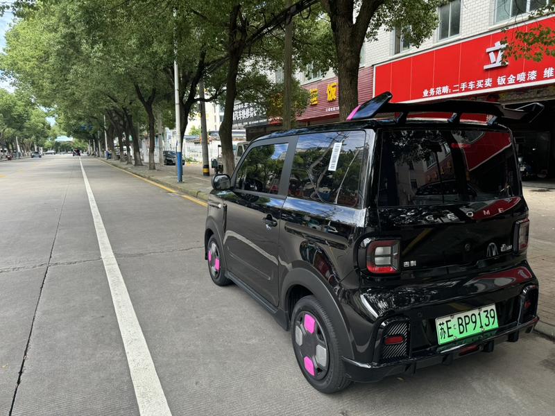 Geely Galaxy Panda Mini, 2025 — фото 3 из 12
