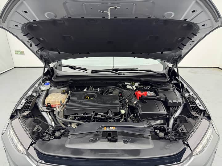 Ford Mondeo Sport (Evos), 2021 — фото 5 из 9