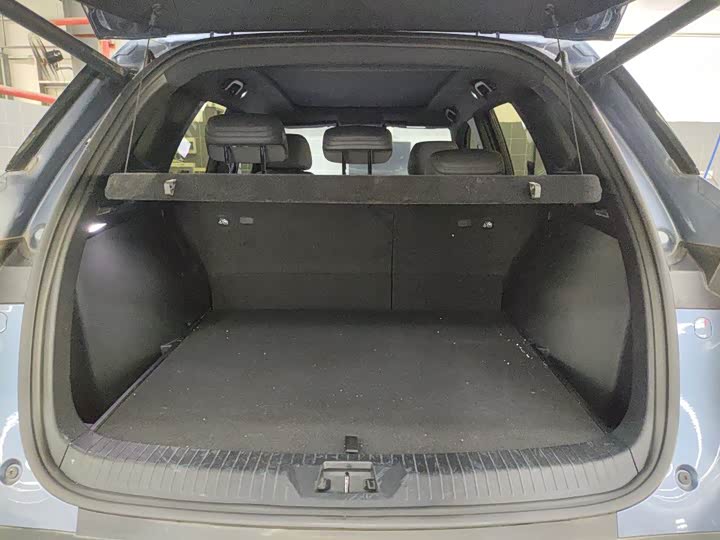 BYD Song Pro Hybrid, 2024 — фото 9 из 9