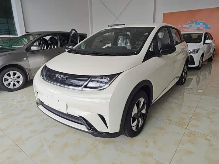 BYD Dolphin, 2026 — купить в Смоленске под ключ